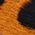 Color Swatch - Animal