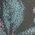 Color Swatch - Green Multi