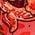 Color Swatch - Pink