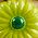 Color Swatch - Green