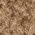 Color Swatch - Brown