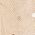 Color Swatch - Tan