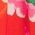 Color Swatch - Floral