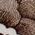 Color Swatch - Brown