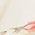 Color Swatch - Ivory