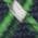 Color Swatch - Green