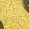 Color Swatch - Yellow