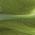 Color Swatch - Green