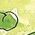 Color Swatch - Green