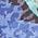Color Swatch - Blue
