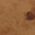 Color Swatch - Brown