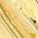 Color Swatch - Gold
