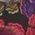 Color Swatch - Floral