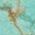 Color Swatch - Turquoise/Gold