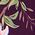 Color Swatch - Purple