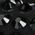 Color Swatch - Black