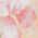 Color Swatch - Floral