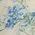 Color Swatch - Blue