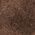 Color Swatch - Dark Brown
