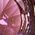 Color Swatch - Purple