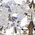 Color Swatch - Grey