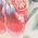 Color Swatch - Floral