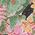 Color Swatch - Floral