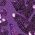Color Swatch - Purple