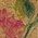 Color Swatch - Prairie Rose