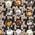 Color Swatch - Beige