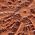 Color Swatch - Brown