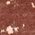 Color Swatch - Brown