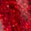 Color Swatch - Multi