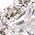 Color Swatch - Silver
