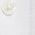 Color Swatch - White