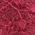 Color Swatch - Red