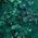 Color Swatch - Emerald