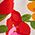 Color Swatch - Patchwork Floral