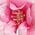 Color Swatch - Pink