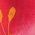 Color Swatch - Pink