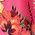 Color Swatch - Floral