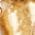 Color Swatch - Gold/CZ
