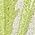 Color Swatch - Green