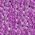 Color Swatch - Purple