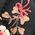 Color Swatch - Floral