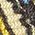 Color Swatch - Yellow