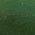 Color Swatch - Green