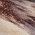 Color Swatch - Ivory