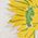 Color Swatch - Floral