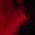 Color Swatch - Red